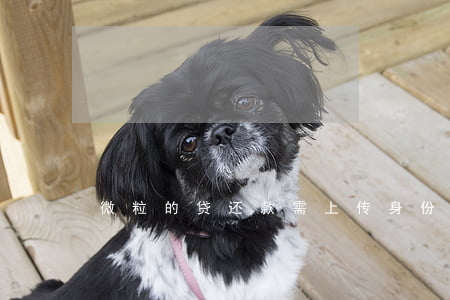 微粒的贷还款需上传身份证照片-