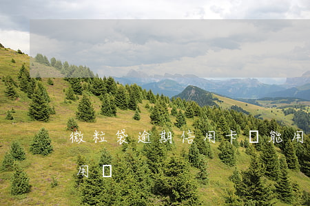 微粒袋逾期信用卡還能用嗎(微粒貸逾期還能用嗎)