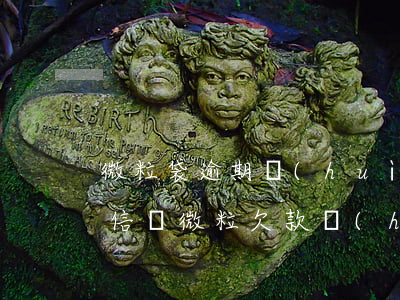 微粒袋逾期會(huì)凍結(jié)微信嗎(微粒欠款會(huì)凍結(jié)微信嗎)