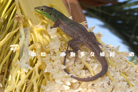 微粒貨逾期多久被起訴(微粒貸逾期要起訴)