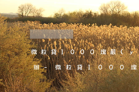 微粒貸1000塊嚴(yán)重逾期怎么辦-微粒貸1000塊嚴(yán)重逾期怎么辦呢