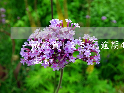 微粒貸125元逾期4天(微粒逾期43天貸起訴)