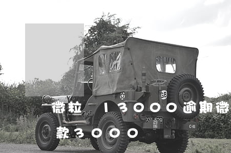 微粒貸13000逾期(微粒貸逾期74天欠款3000)