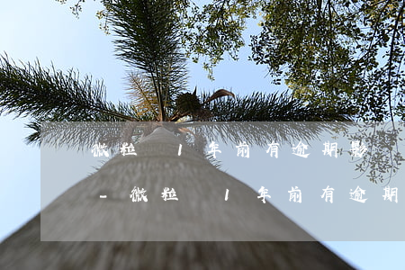 微粒貸1年前有逾期影響企業(yè)貸嗎-微粒貸1年前有逾期影響企業(yè)貸嗎怎么辦