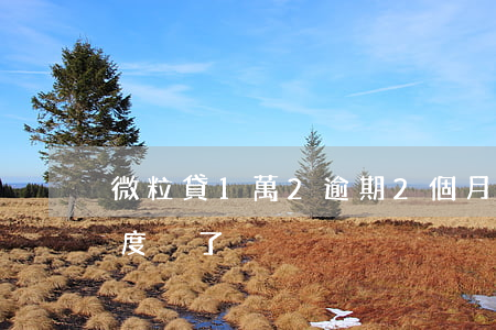 微粒貸1萬2逾期2個月(微粒貸逾期1天額度沒了)
