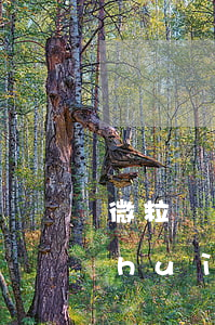 微粒貸1萬3逾期半年會(huì)不會(huì)起訴-微粒貸逾期一萬多會(huì)怎樣