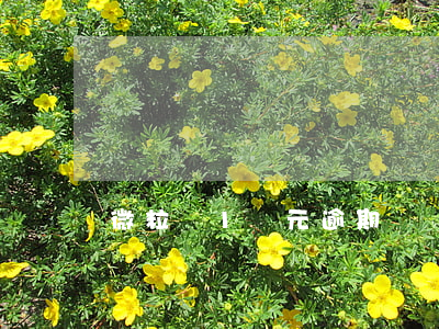 微粒貸1萬元逾期兩個月(微粒貸逾期半年,4萬)