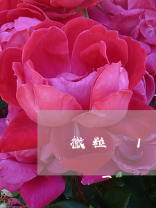 微粒貸1萬逾期會(huì)上門嗎(欠微粒貸一萬會(huì)不會(huì)上門)