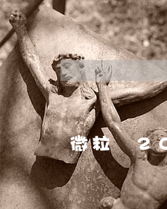 微粒貸2000逾期兩年要還多少