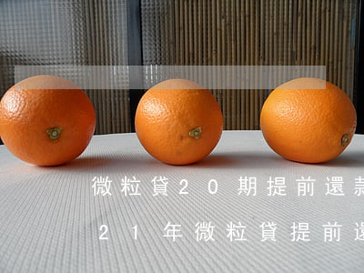 微粒貸20期提前還款怎么計(jì)息-21年微粒貸提前還款套路