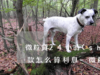微粒貸24小時(shí)內(nèi)還款怎么算利息-微粒貸24小時(shí)內(nèi)還款怎么算利息的