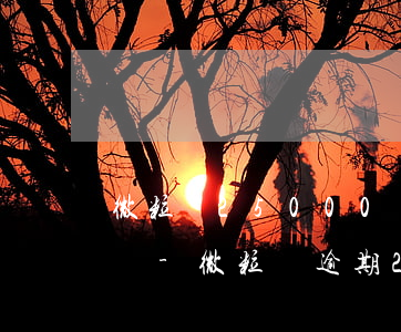 微粒貸25000剛逾期會(huì)上門嗎-微粒貸逾期2萬(wàn)多久會(huì)被起訴