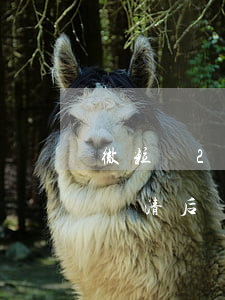 微粒貸2天后還的說逾期了(微粒貸逾期兩天還清后還能不能借出來)