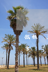 微粒貸2萬(wàn)逾期300天(微粒貸3萬(wàn)逾期120天了會(huì)怎樣)