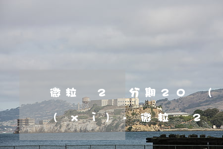 微粒貸2萬分期20個(gè)月還款明細(xì)-微粒貸2萬分期20個(gè)月還款明細(xì)怎么查