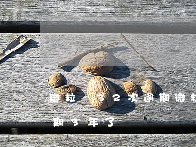 微粒貸32次逾期(微粒貸嚴(yán)重逾期3年了)