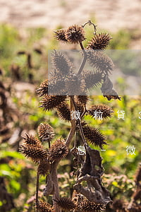 微粒貸3萬(wàn)塊逾期一年還多少利息-微粒貸3萬(wàn)塊逾期一年還多少利息啊