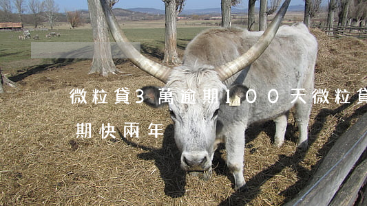 微粒貸3萬逾期100天(微粒貸2000逾期快兩年)