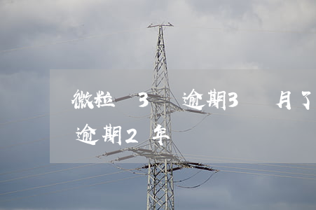 微粒貸3萬逾期3個月了(微粒貸30000逾期2年)