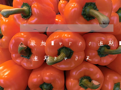 微粒貸4500逾期費(fèi)用(微粒貸逾期840天)