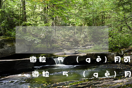 微粒貸5個(gè)月可以一次性還款嗎-微粒貸5個(gè)月可以一次性還款嗎