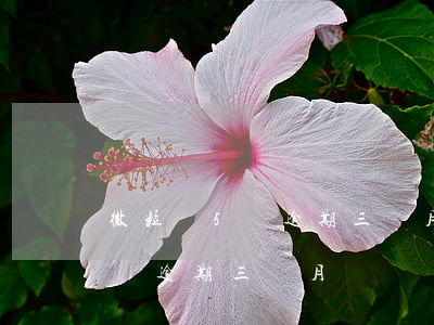 微粒貸5萬逾期三個月說起訴我(微粒貸欠5萬逾期三個月)