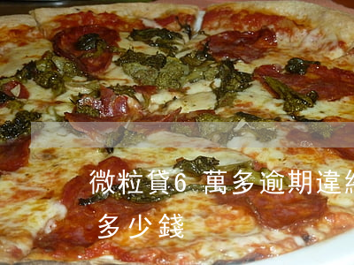 微粒貸6萬多逾期違約金(微粒貸違約金一天多少錢)