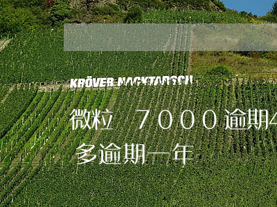 微粒貸7000逾期40天(微粒貸5000多逾期一年)