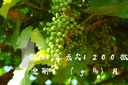 微粒貸8天欠1200(微粒貸欠8000元逾期4個(gè)月)