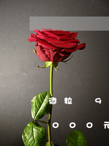 微粒貸9000元月還款是多少-微粒貸9000元月還款是多少利息