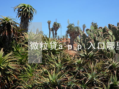 微粒貸app入口哪里可以還款-