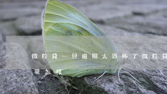 微粒貸一旦逾期太恐怖了(微粒貸逾期不還后果怎樣)