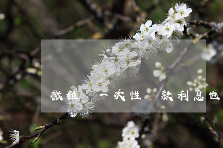 微粒貸一次性還款利息也照收嗎-