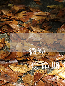 微粒貸一次逾期多久恢復(fù)(微粒貸一次逾期多久恢復(fù))
