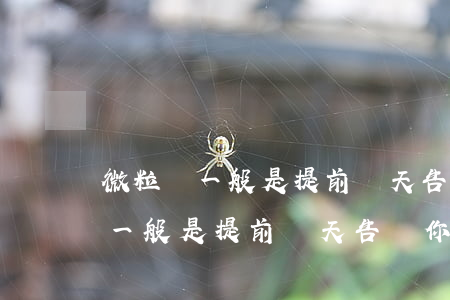 微粒貸一般是提前幾天告訴你還款-微粒貸一般是提前幾天告訴你還款的