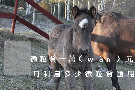 微粒貸一萬(wàn)元逾期三個(gè)月利息多少(微粒貸逾期三個(gè)月欠款一萬(wàn)七會(huì)被起訴嗎)