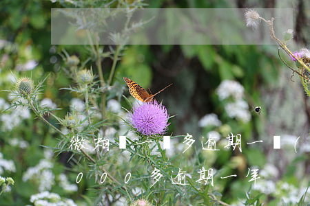 微粒貸一萬多逾期一個(gè)月(微粒貸5000多逾期一年)