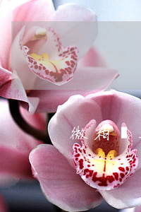 微粒貸上欠了166會(huì)不會(huì)被起訴-微粒貸欠款16萬(wàn)多久會(huì)訴訟