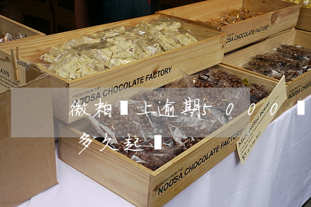 微粒貸上逾期5000會(微粒貸一萬多逾期多久起訴)
