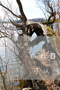 微粒貸不可以用微信零錢還款嗎-微粒貸不可以用微信零錢還款嗎為什么
