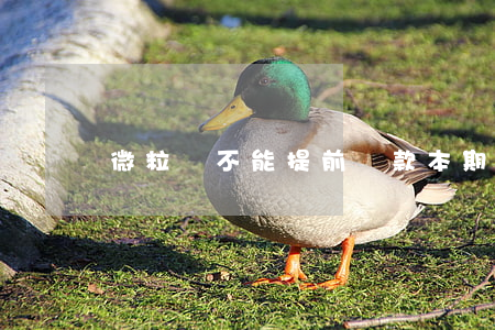 微粒貸不能提前還款本期還款嗎-
