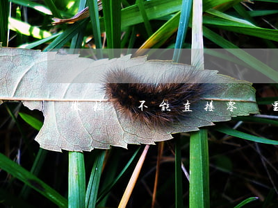微粒貸不能直接零錢里面還款嗎-