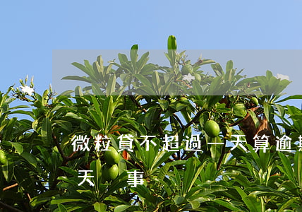微粒貸不超過一天算逾期(微粒貸一般逾期幾天沒事)