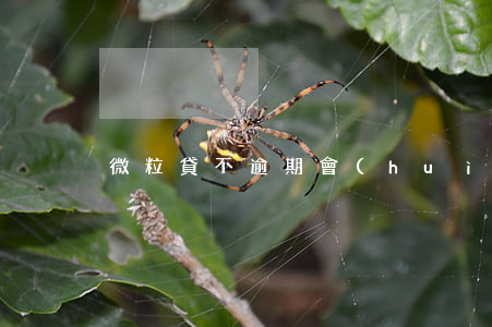 微粒貸不逾期會(huì)上征信嗎