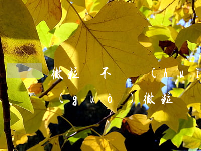 微粒貸不還會(huì)影響信用卡嗎(借過(guò)微粒貸會(huì)不會(huì)辦不了信用卡)