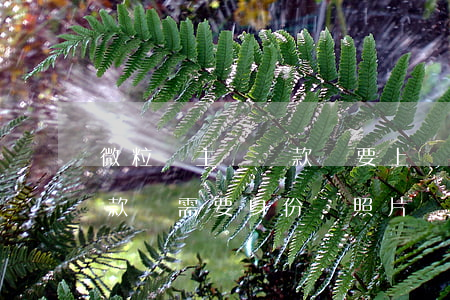微粒貸主動還款還要上傳身份證-微粒貸還款還需要身份證照片?