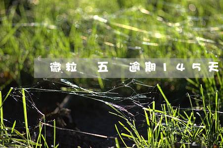 微粒貸五萬逾期145天(微粒貸逾期半年,4萬)