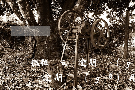 微粒貸五萬逾期兩個(gè)月了(微粒貸五萬逾期兩個(gè)月了)