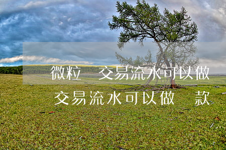 微粒貸交易流水可以做還款憑證嗎-微粒貸交易流水可以做還款憑證嗎安全嗎