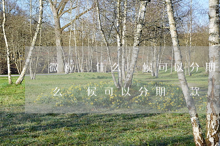微粒貸什么時候可以分期還款嗎-微粒貸什么時候可以分期還款嗎安全嗎